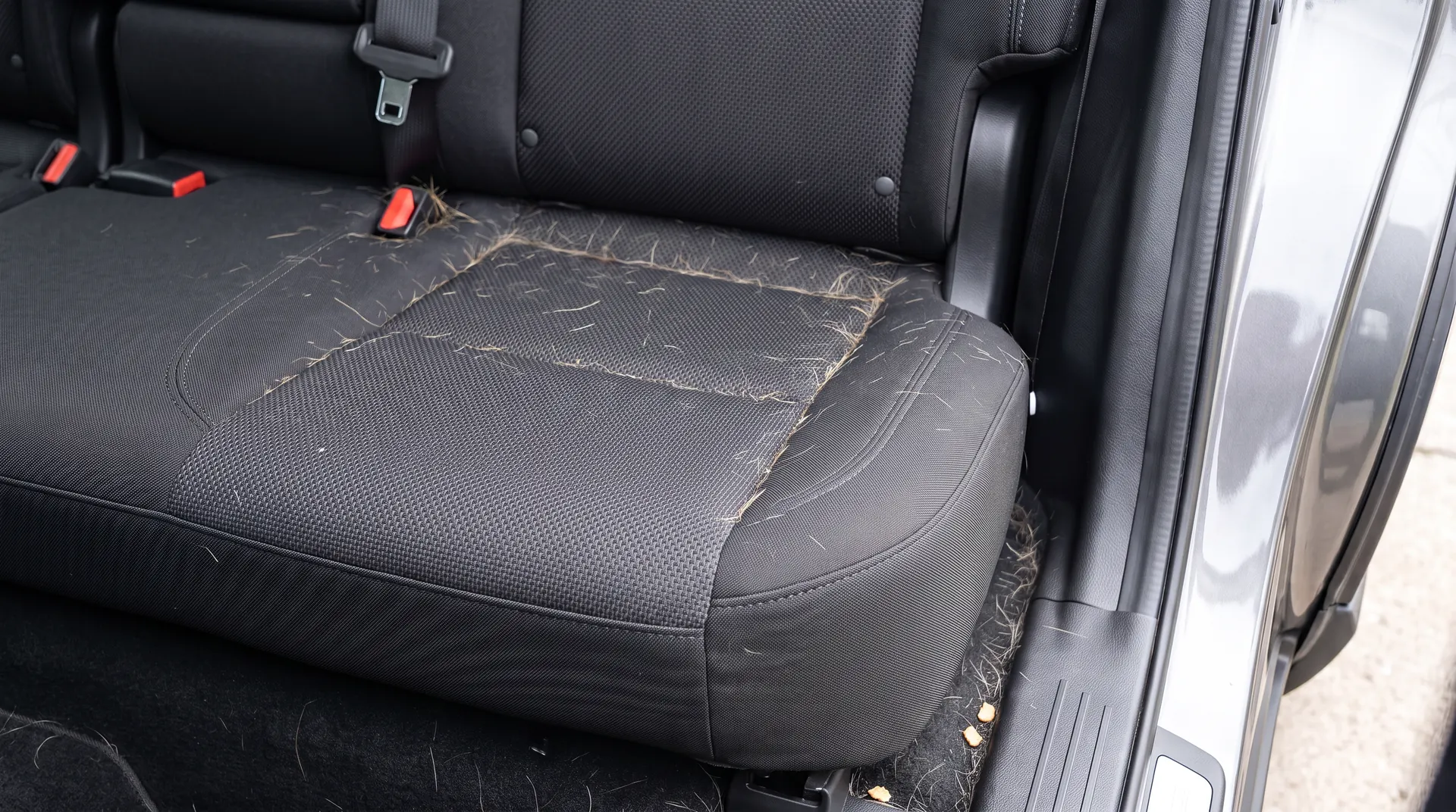 A back seat before detailing, dog hair worked into the cloth weave and collected along the seam
